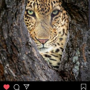 Meet your Posher, Denise